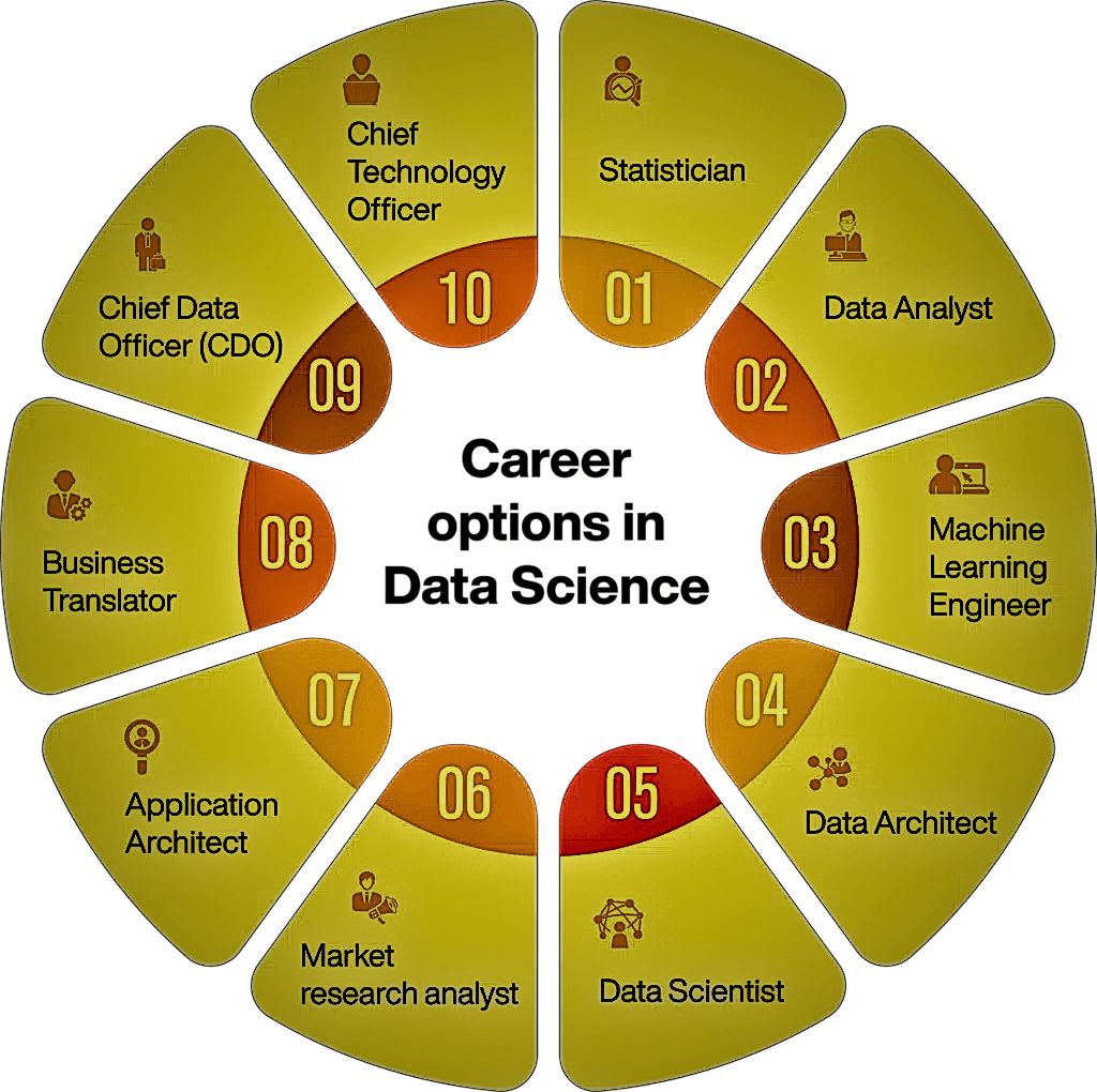 Data Science Lifecycle