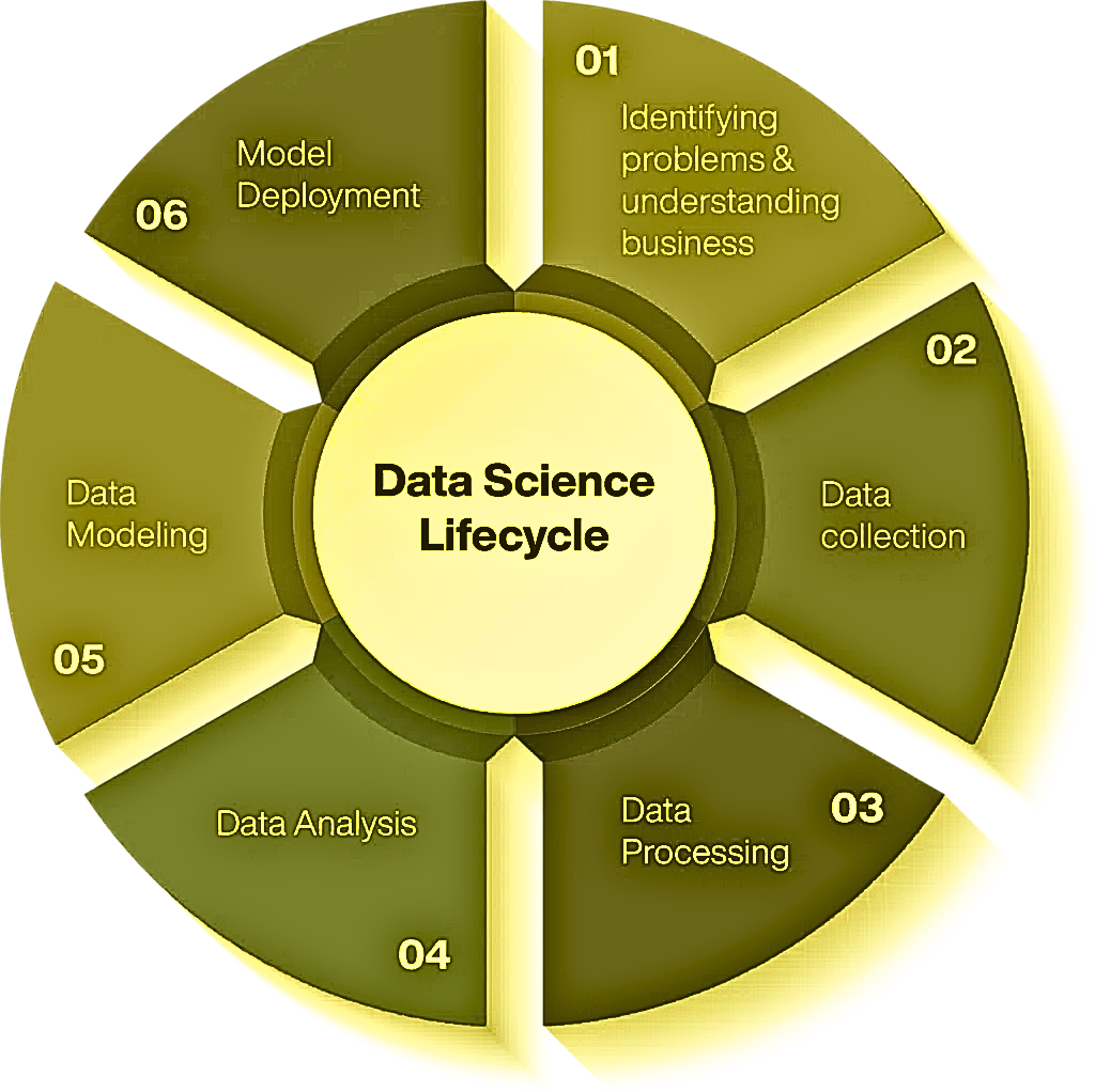 Data Science Lifecycle