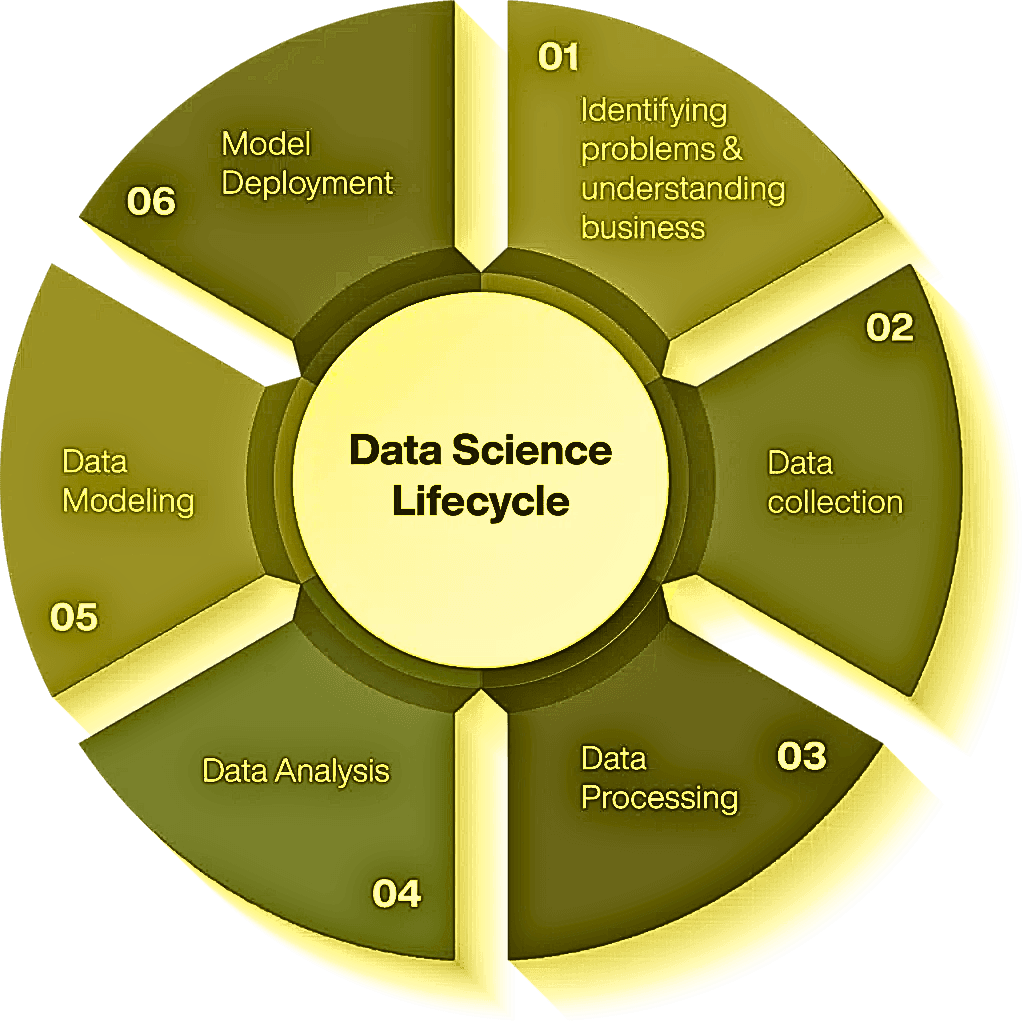 Data Science Lifecycle