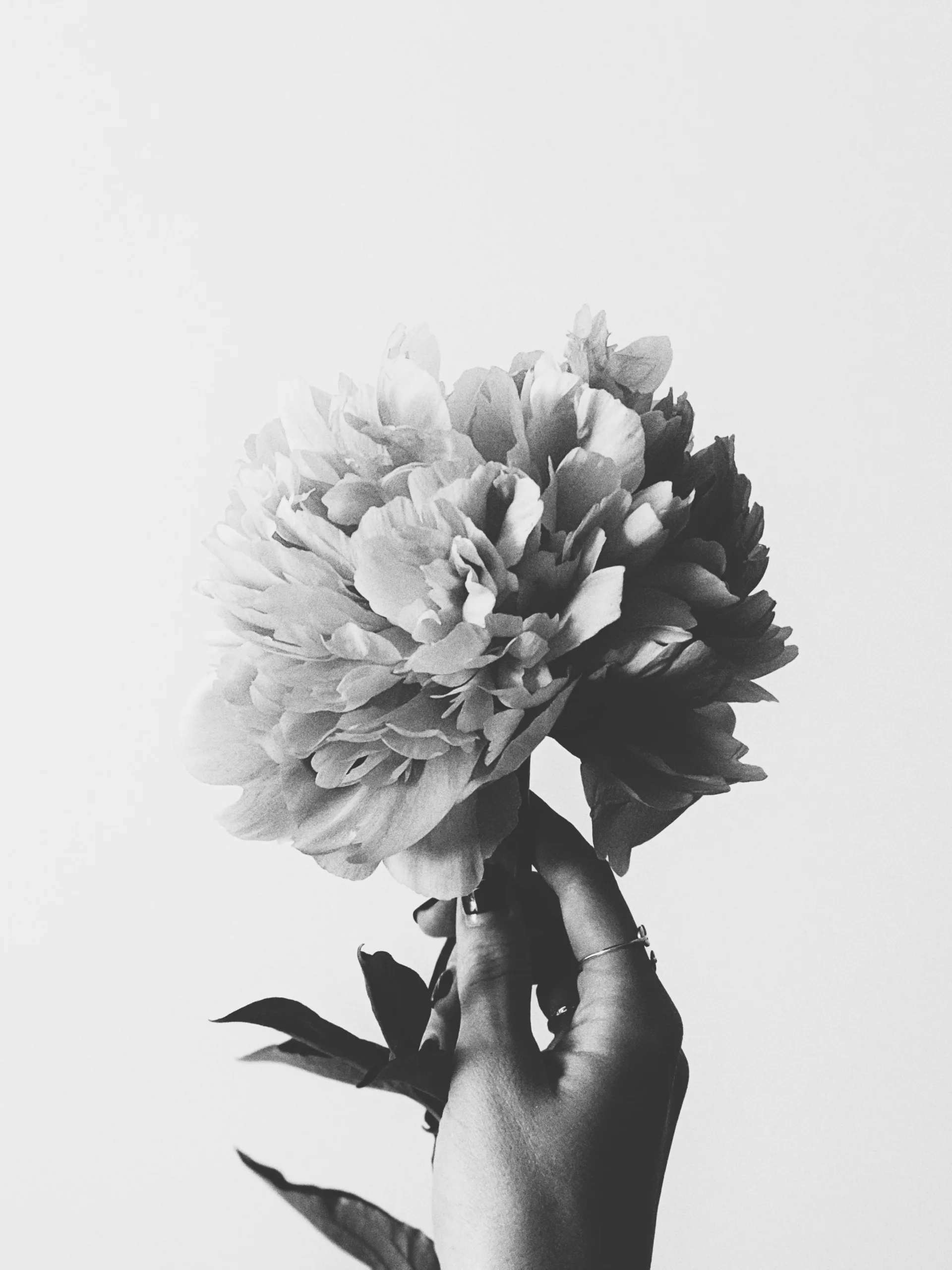 Digital Image Processing